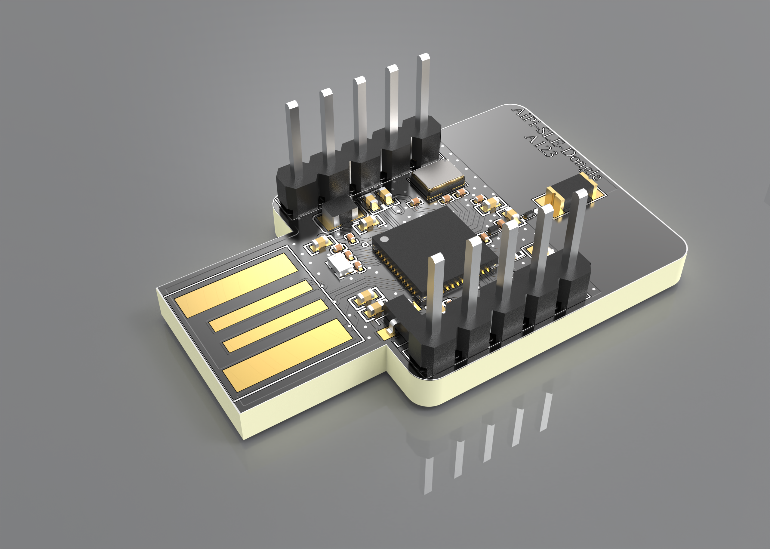 aipi-sle-dongle-s.png